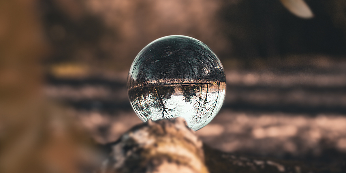 Glass Ball on Wood