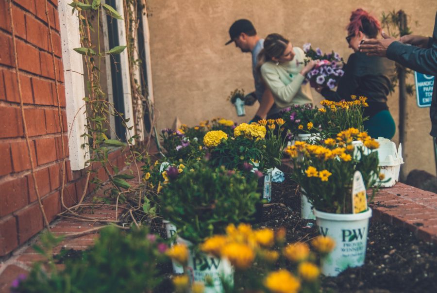 Group of people arranging flowers with potted plants on the ground