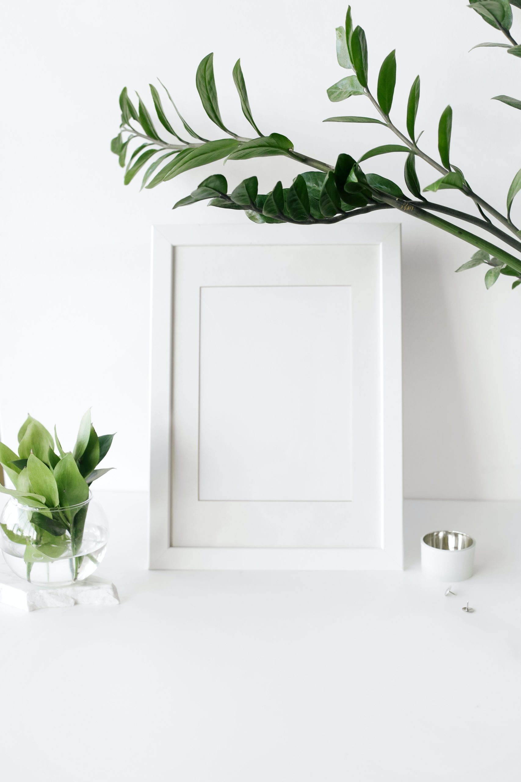 Empty photo frame on desk decorated with green plants