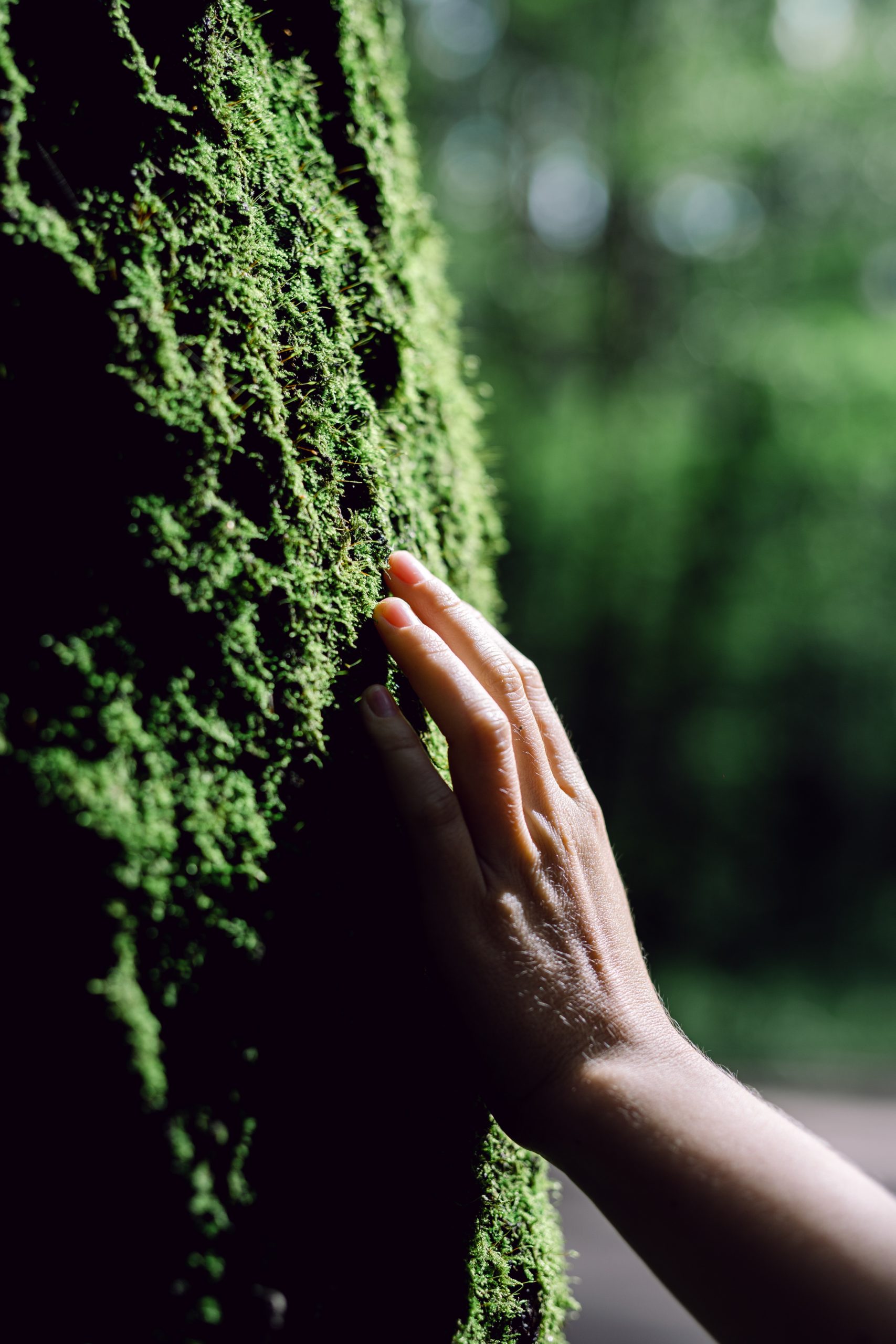 Persons Hand on Green Moss