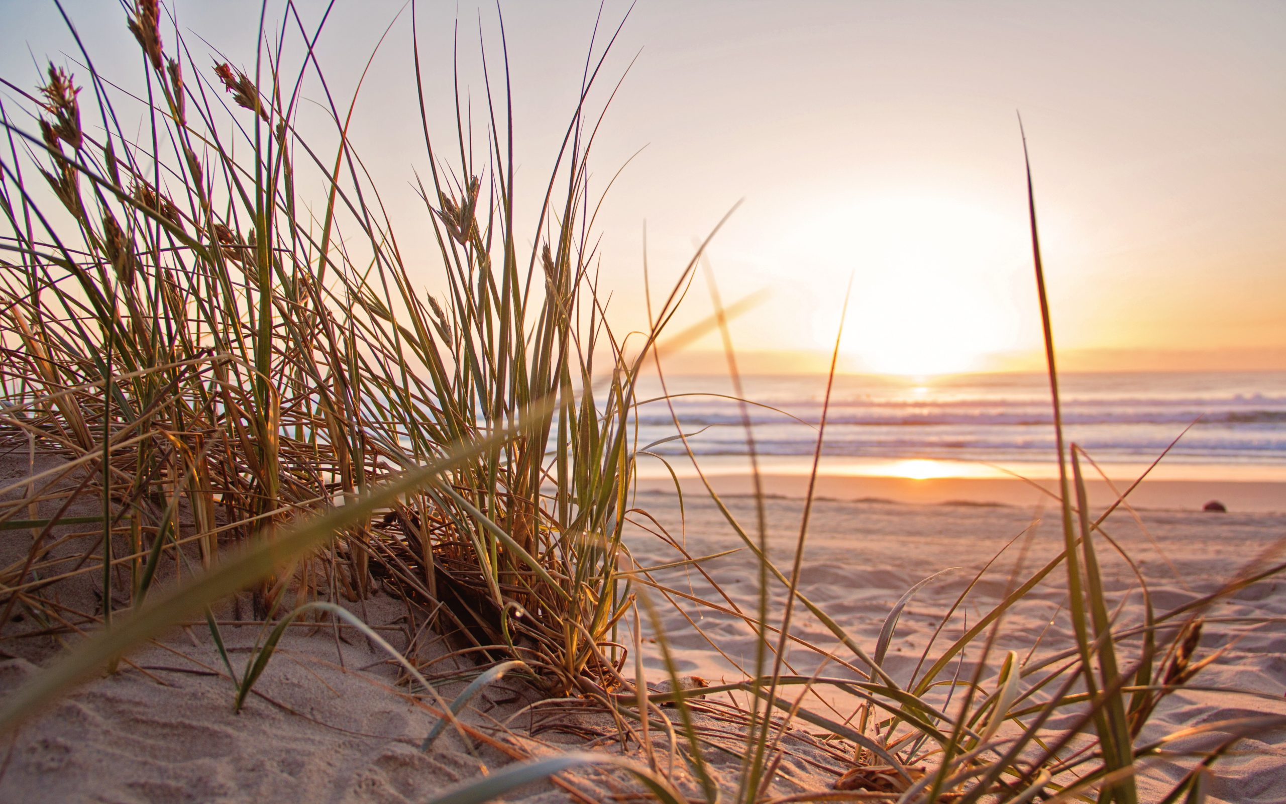 Beach with sunset and grass