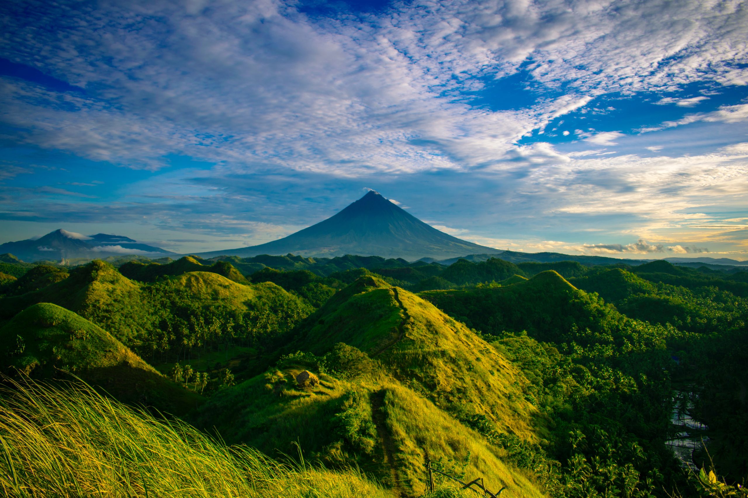 mountains and grass scene