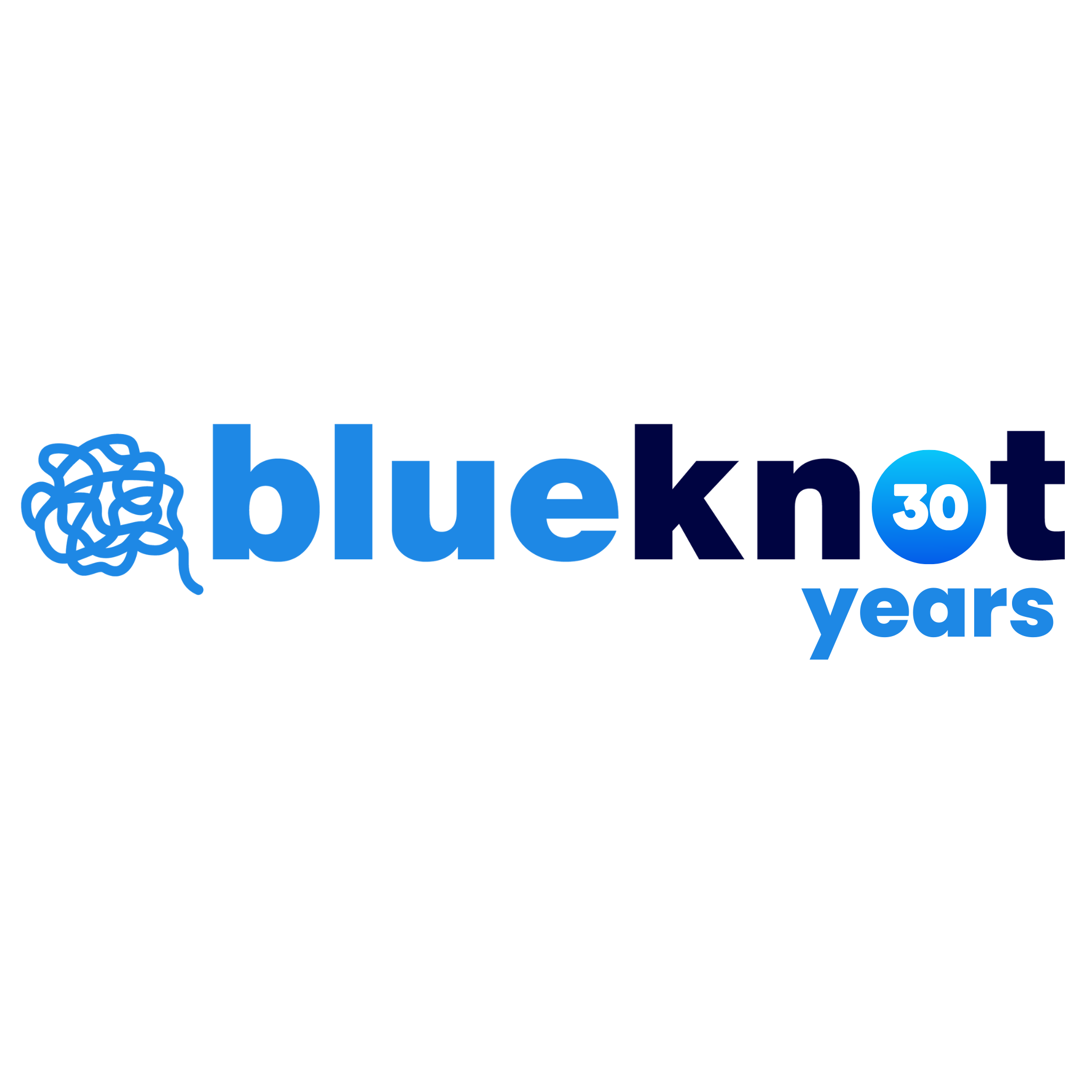 Blue Knot Foundation 30 Years celebration logo